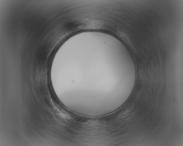 X0000054360534200508011223