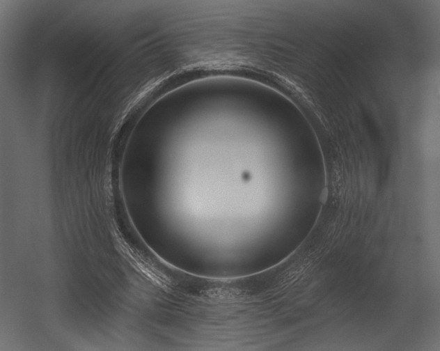 X0000054360535200508011223