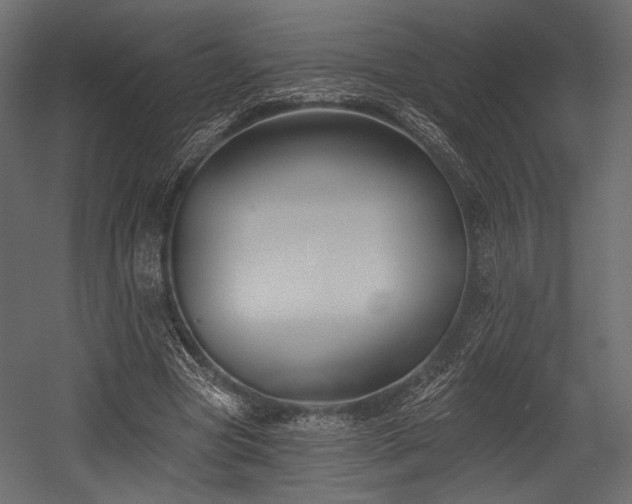 X0000054360537200508011223