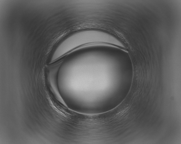 X0000054360538200508011223