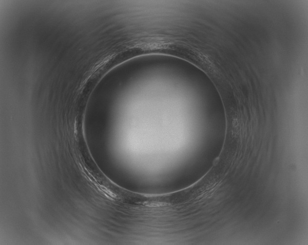 X0000054360539200508011223
