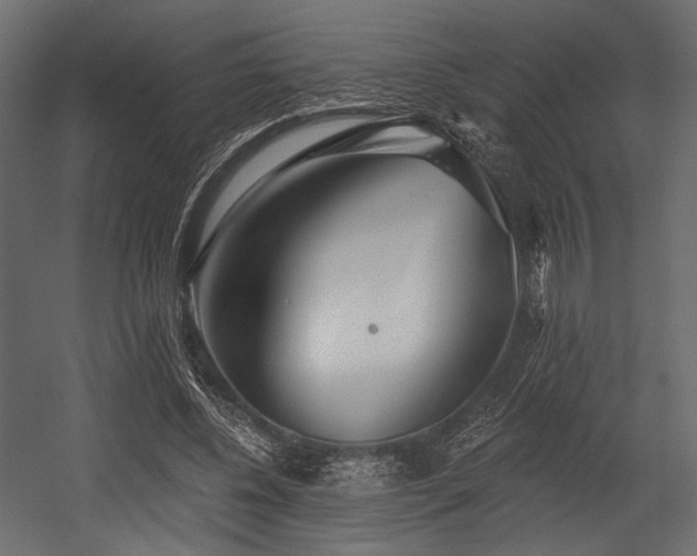 X0000054360540200508011223