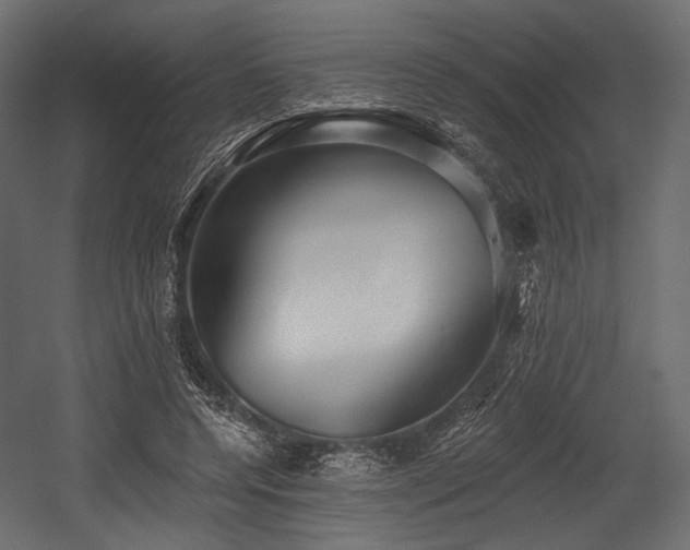 X0000054360544200508011223