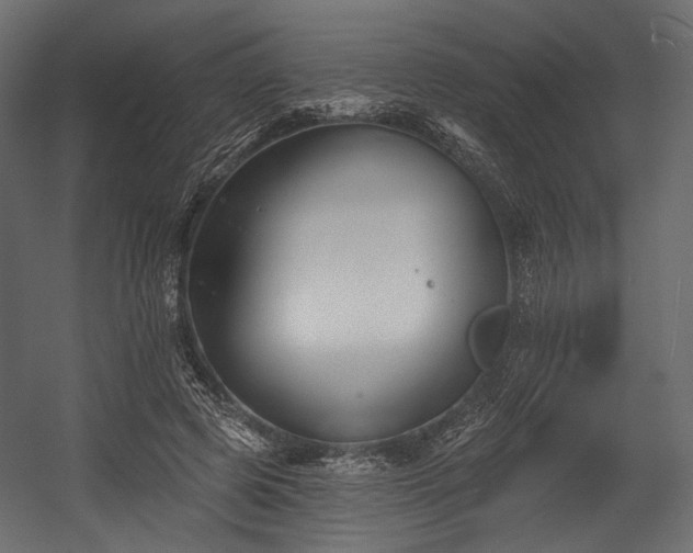 X0000054360545200508011223