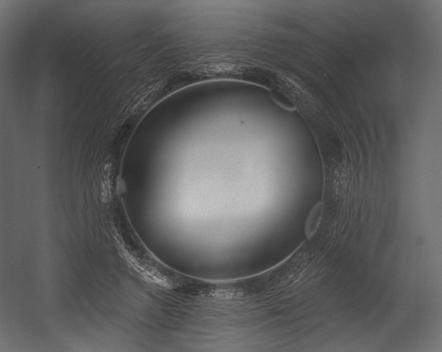 X0000054360546200508011223