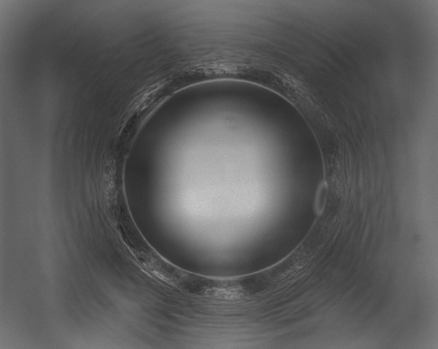 X0000054360548200508011223