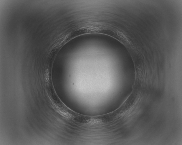 X0000054360549200508011223
