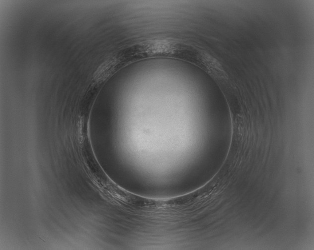 X0000054360550200508011223