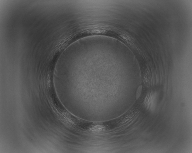 X0000054360551200508011223