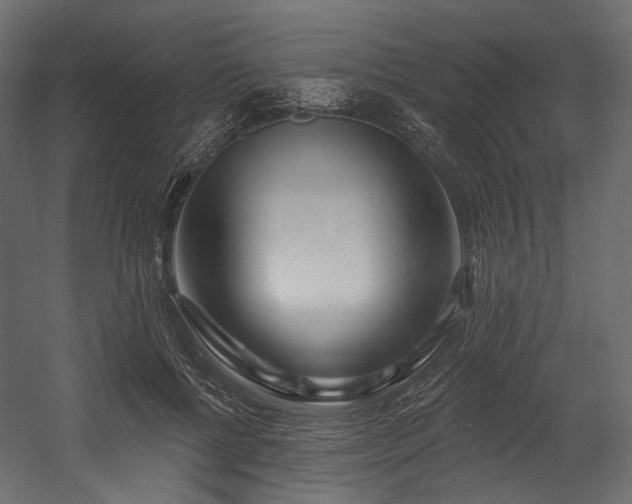X0000054360552200508011223