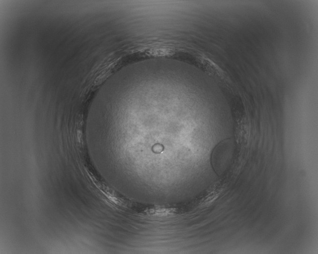 X0000054360553200508011223