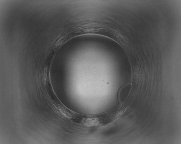 X0000054360554200508011223