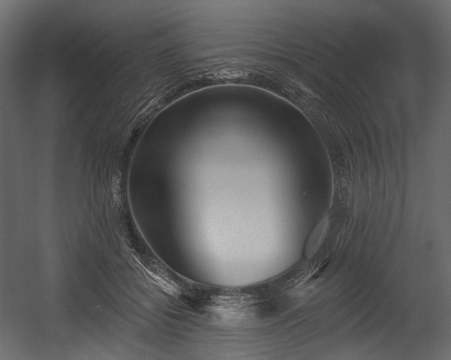 X0000054360556200508011223