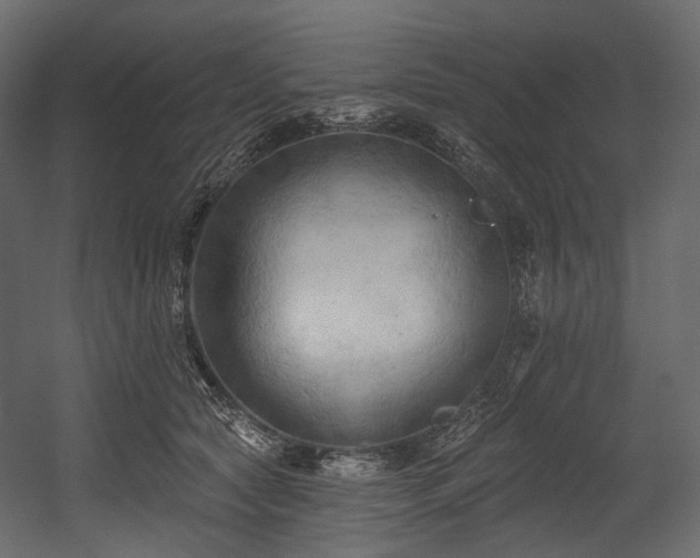 X0000054360561200508011223
