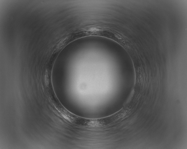 X0000054360562200508011223
