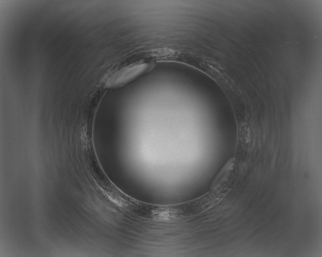 X0000054360564200508011223