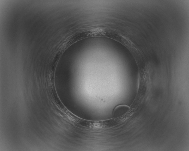 X0000054360565200508011223