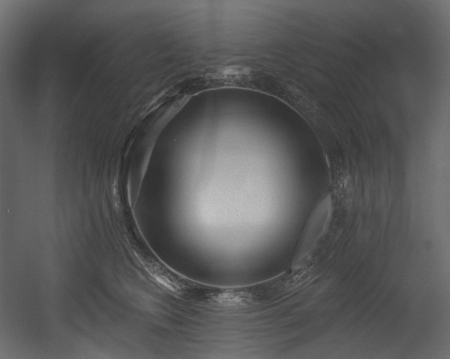 X0000054360566200508011223