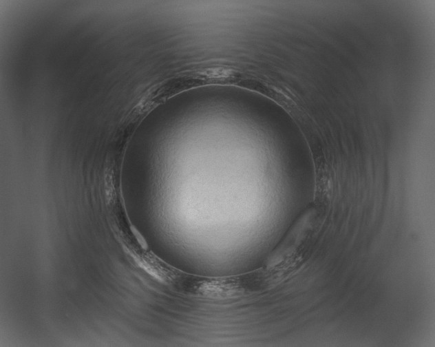 X0000054360568200508011223