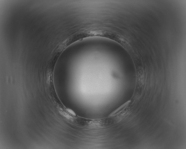 X0000054360574200508011223