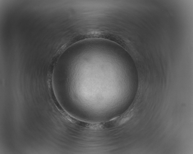 X0000054360576200508011224