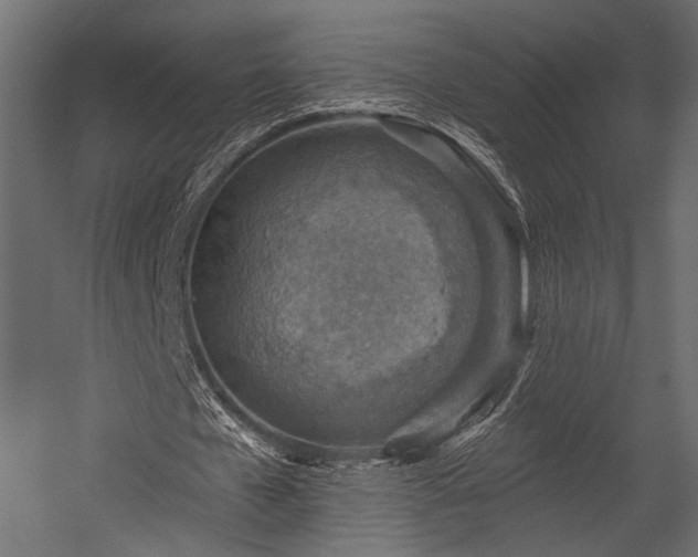 X0000054360577200508011223