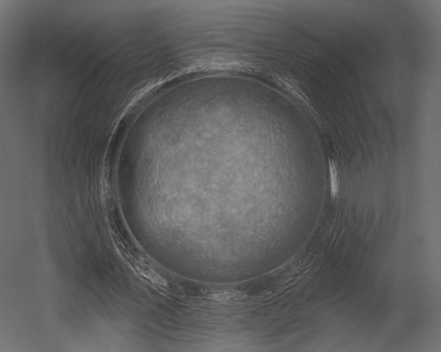 X0000054360579200508011223