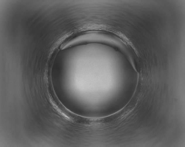 X0000054360581200508011223