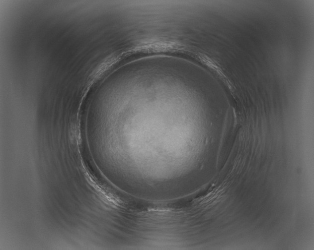 X0000054360582200508011223