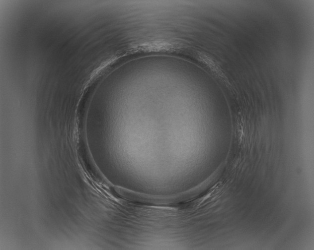X0000054360583200508011223