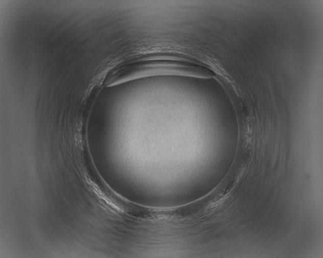 X0000054360585200508011223