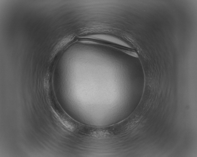 X0000054360586200508011223