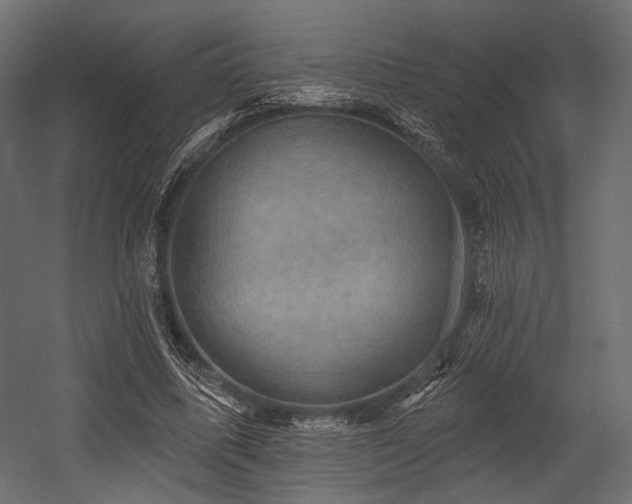 X0000054360587200508011223