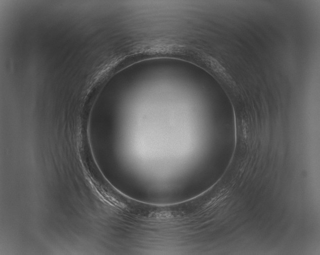 X0000054360588200508011223