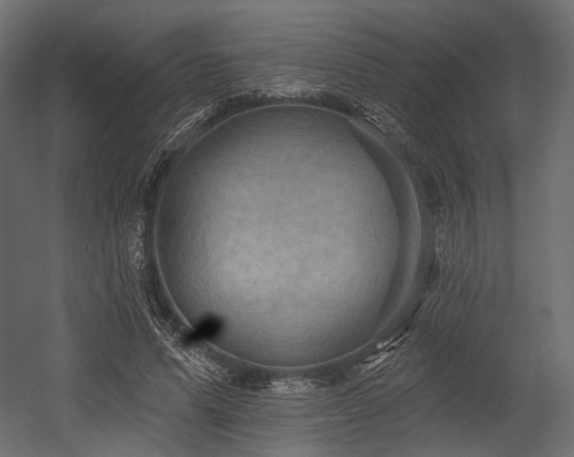 X0000054360591200508011222