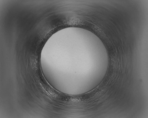 X0000054360592200508011222