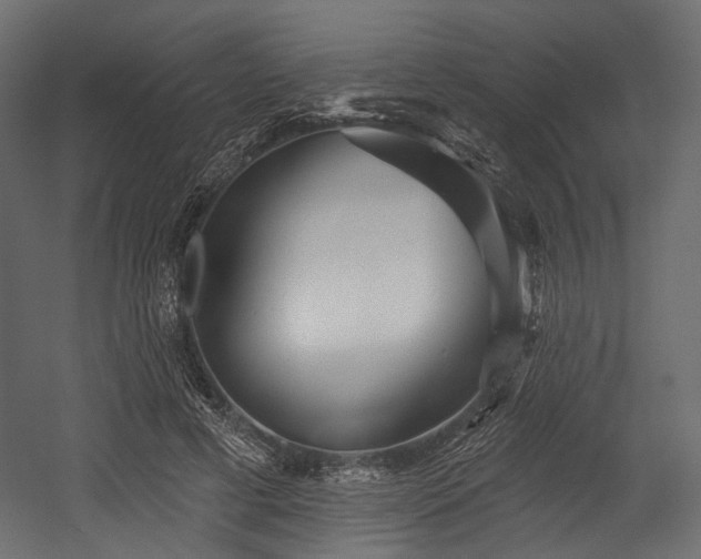 X0000054360593200508011222