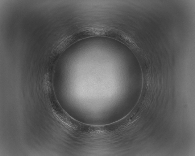 X0000054360594200508011222
