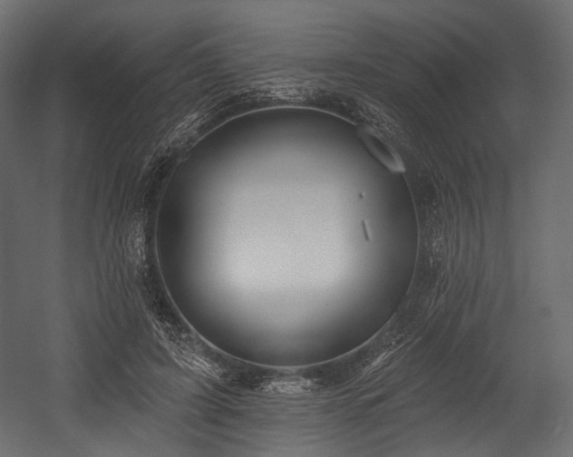 X0000054360595200508011222