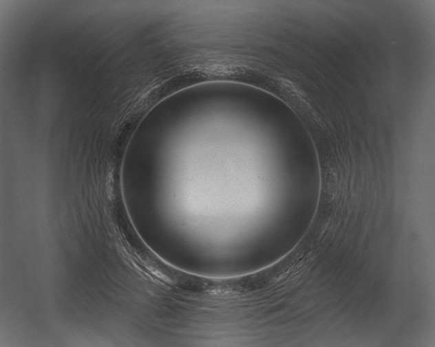 X0000054360596200508011222