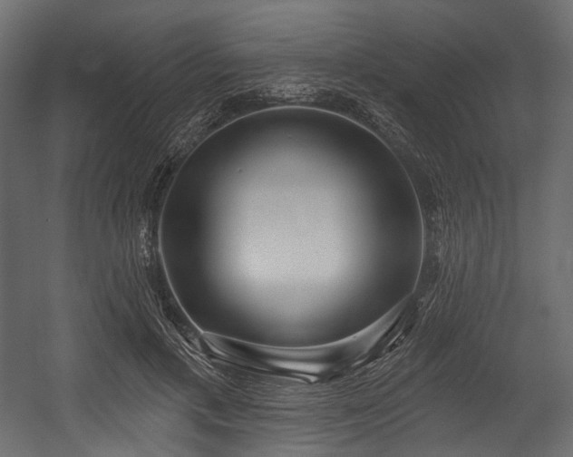X0000054360597200508011222