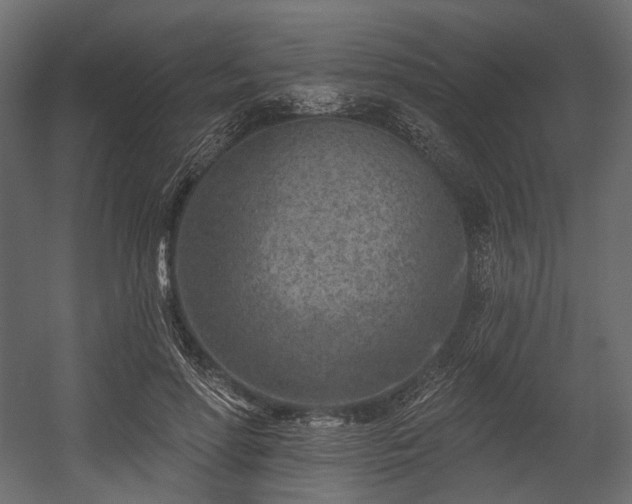 X0000054360598200508011222