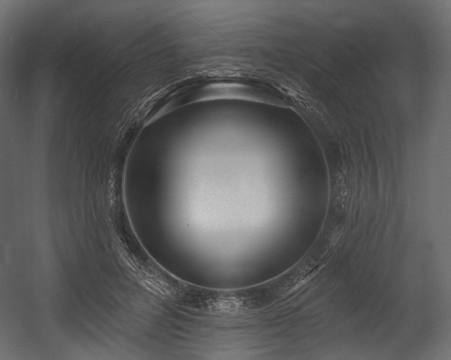 X0000054360600200508011222