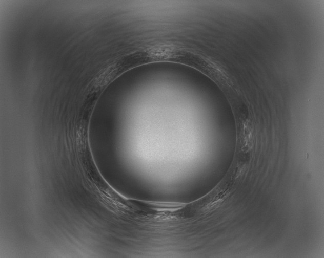 X0000054360601200508011222