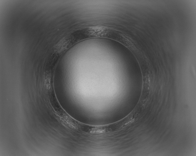 X0000054360602200508011222