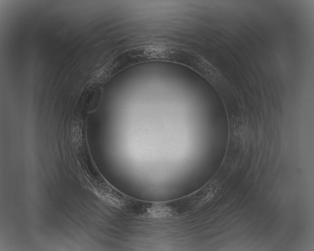 X0000054360603200508011222