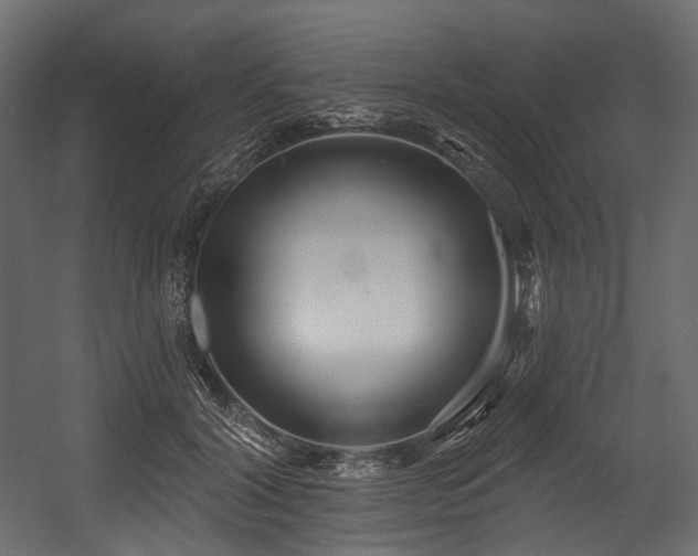 X0000054360604200508011222