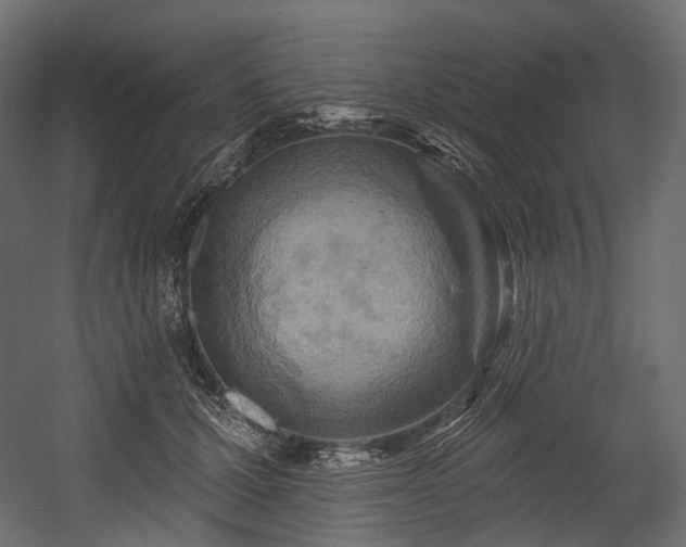 X0000054360607200508011222