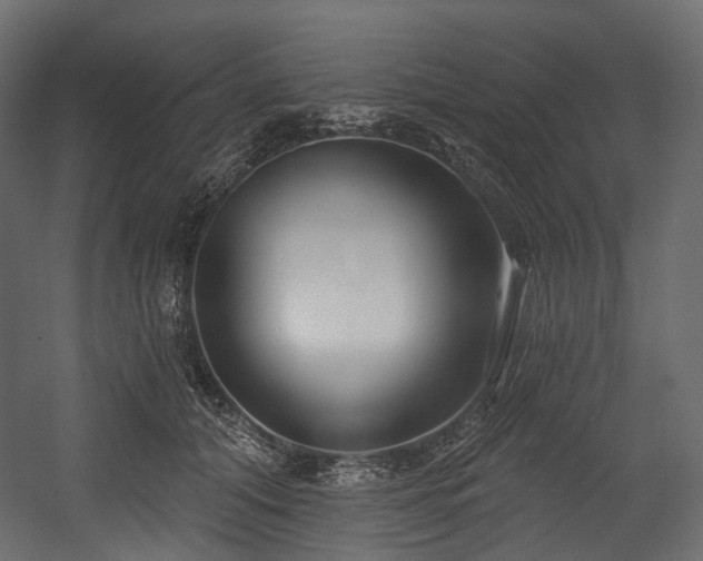 X0000054360608200508011222