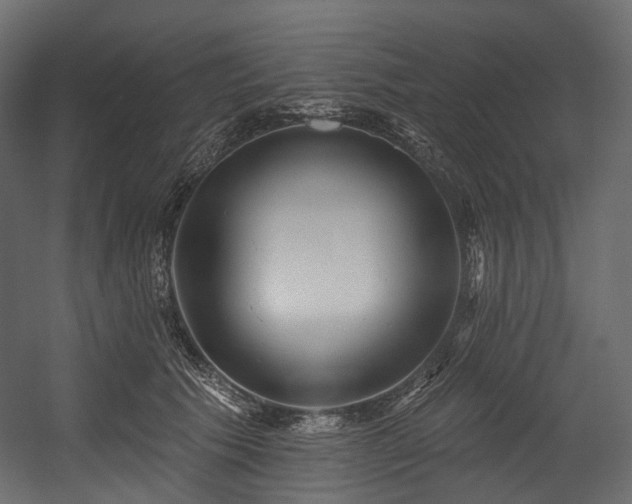 X0000054360609200508011222